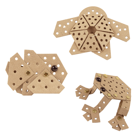 Kit 3 en 1 Animalia Nivel 2